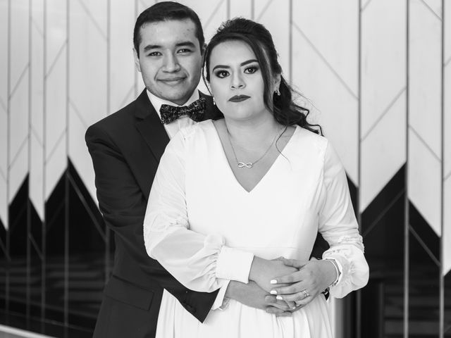 La boda de Joel y Viviana en Benito Juárez, Ciudad de México 58