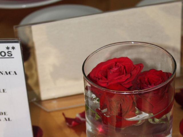 La boda de Hugo  y Stephania  en Coyoacán, Ciudad de México 3
