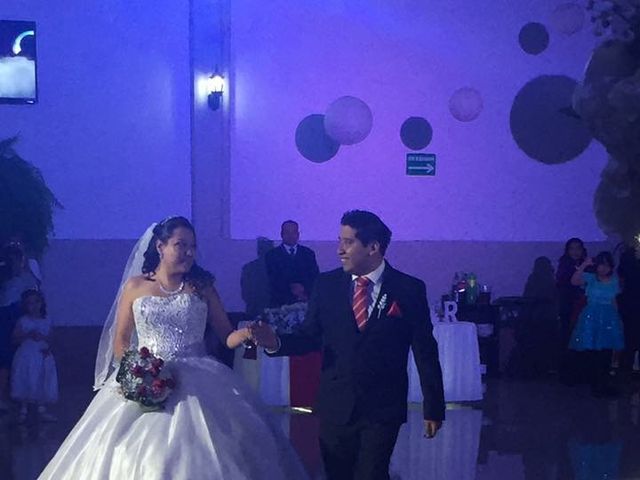 La boda de Erika  y José Ricardo en Iztapalapa, Ciudad de México 7