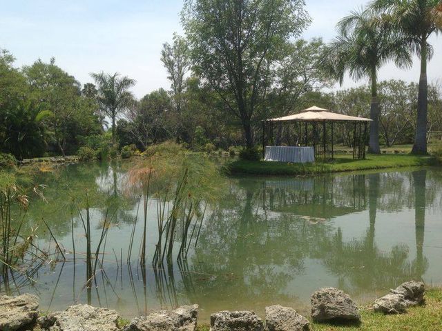 La boda de Vanessa y Ricardo en Xochitepec, Morelos 28