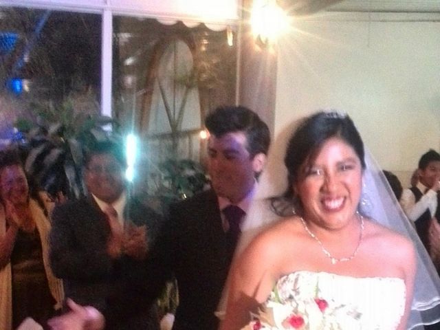 La boda de Mario Alberto y Guadalupe  en Puebla, Puebla 17