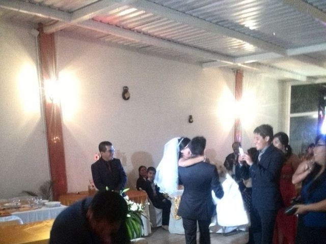 La boda de Mario Alberto y Guadalupe  en Puebla, Puebla 19