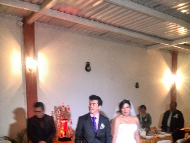 La boda de Mario Alberto y Guadalupe  en Puebla, Puebla 20