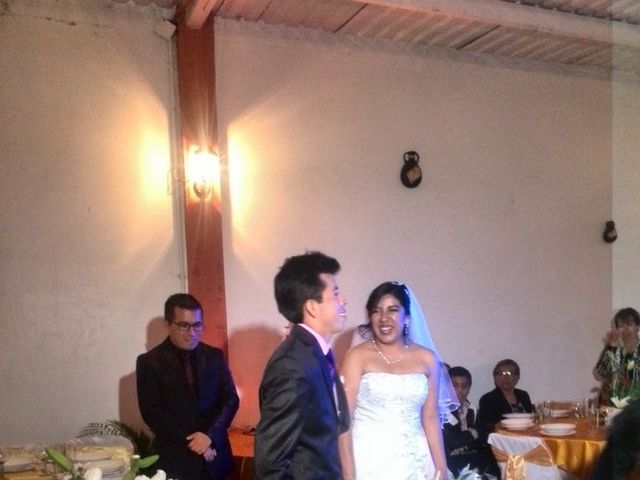 La boda de Mario Alberto y Guadalupe  en Puebla, Puebla 22