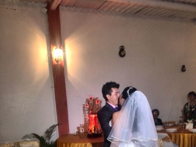 La boda de Mario Alberto y Guadalupe  en Puebla, Puebla 24