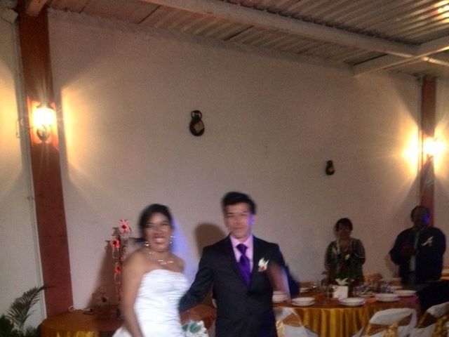 La boda de Mario Alberto y Guadalupe  en Puebla, Puebla 26