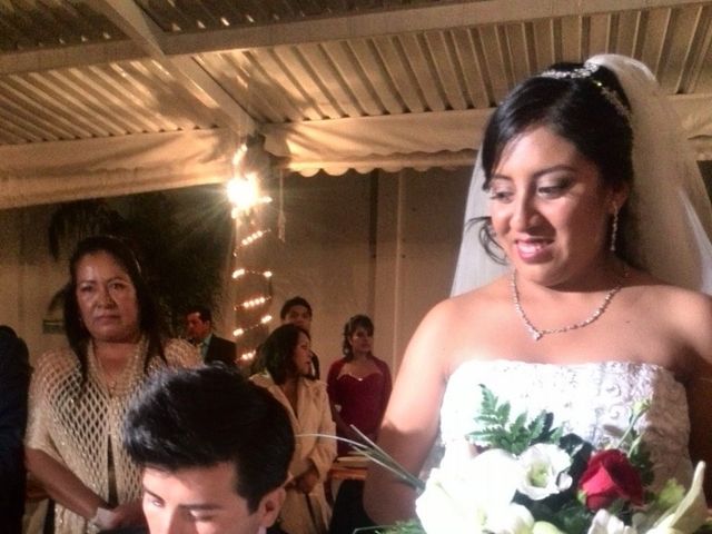 La boda de Mario Alberto y Guadalupe  en Puebla, Puebla 34