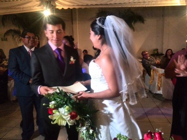 La boda de Mario Alberto y Guadalupe  en Puebla, Puebla 45