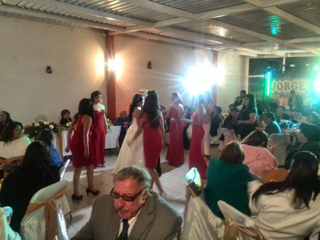 La boda de Mario Alberto y Guadalupe  en Puebla, Puebla 52
