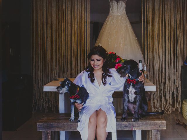 La boda de Diego y Ale en San Cristóbal de las Casas, Chiapas 2