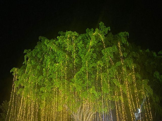 La boda de Anuar y Carolina  en Coatepec, Veracruz 7