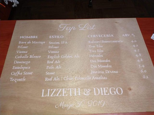 La boda de Lyzy y Diego en Tequisquiapan, Querétaro 4