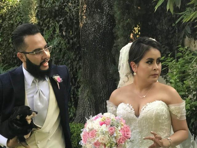 La boda de Lyzy y Diego en Tequisquiapan, Querétaro 14