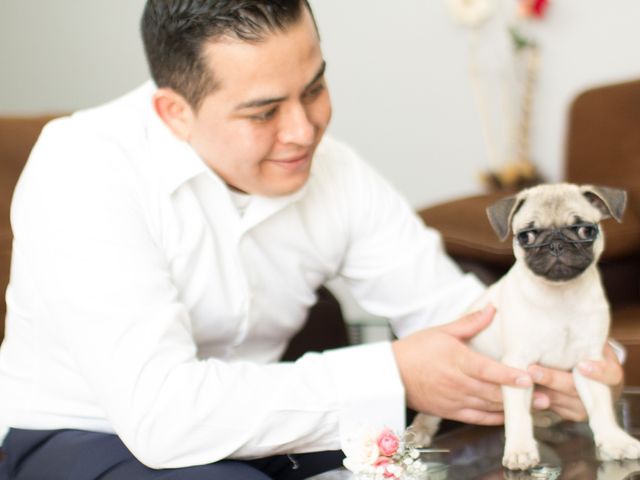 La boda de Karina  y Dennis  en Hidalgo, Michoacán 10