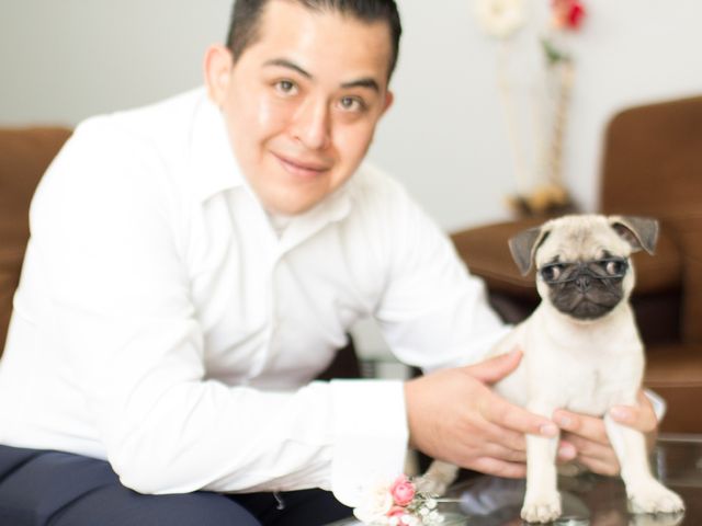 La boda de Karina  y Dennis  en Hidalgo, Michoacán 11