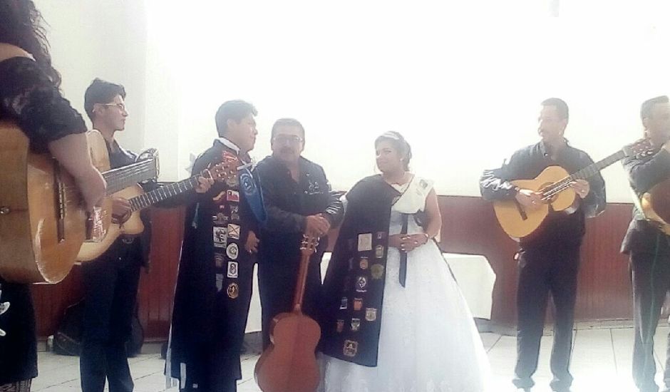 La boda de Cristian y Guadalupe en Toluca, Estado México