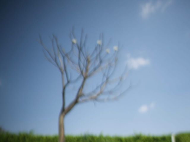 La boda de Dai y Viri en Temixco, Morelos 19