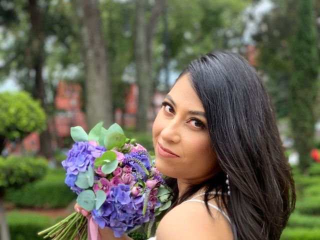 La boda de Daniel  y Natalia en Coyoacán, Ciudad de México 5