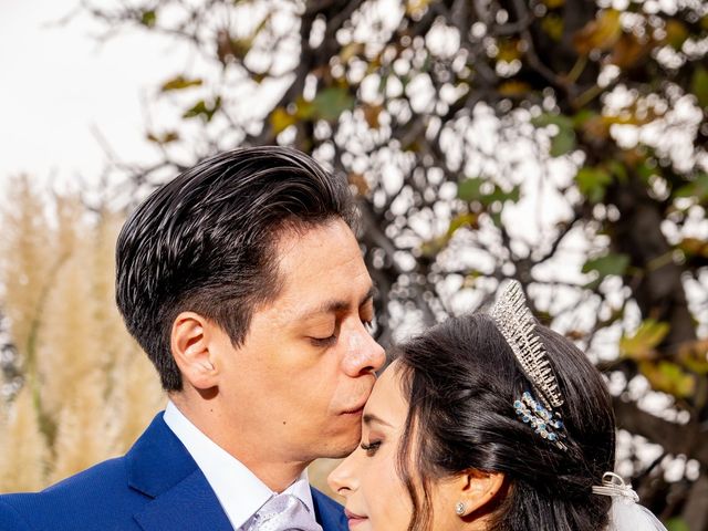 La boda de Víctor Hugo y Daniela en Tlalpan, Ciudad de México 16