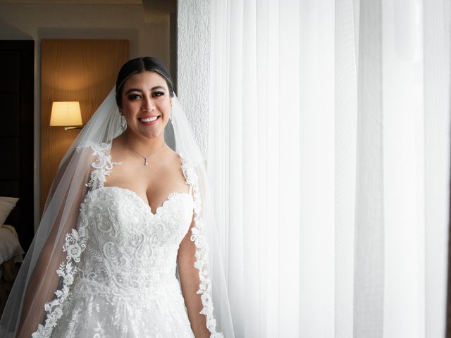 La boda de Alex y Dany en Coyoacán, Ciudad de México 17