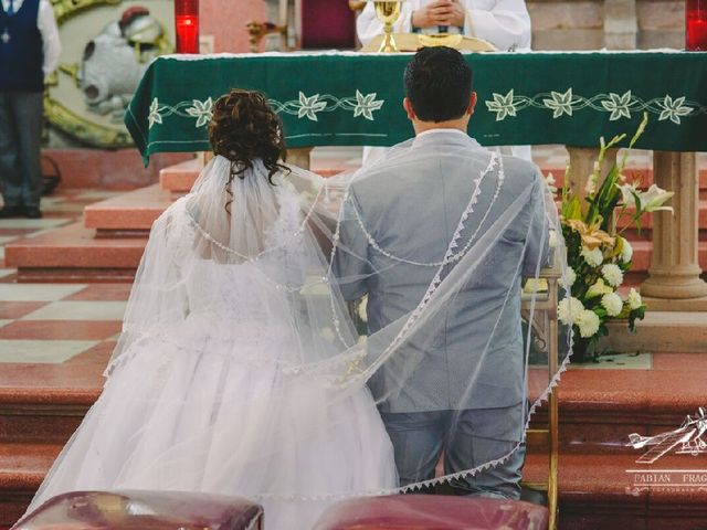 La boda de Hector y Daniela en San Luis Potosí, San Luis Potosí 17