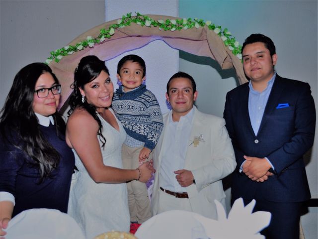 La boda de Miguel y Lilia en Pedregal, Ciudad de México 236