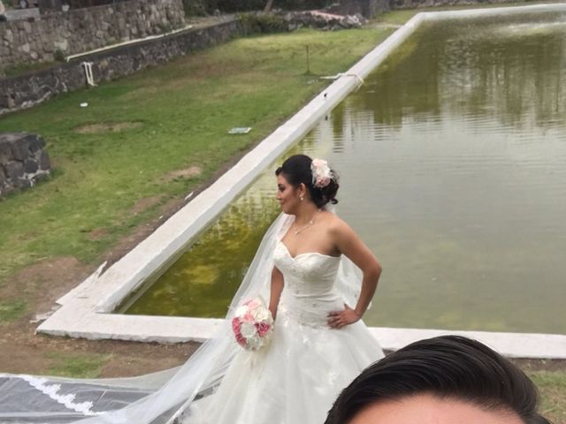 La boda de Gustavo  y Lízbeth   en Iztapalapa, Ciudad de México 21