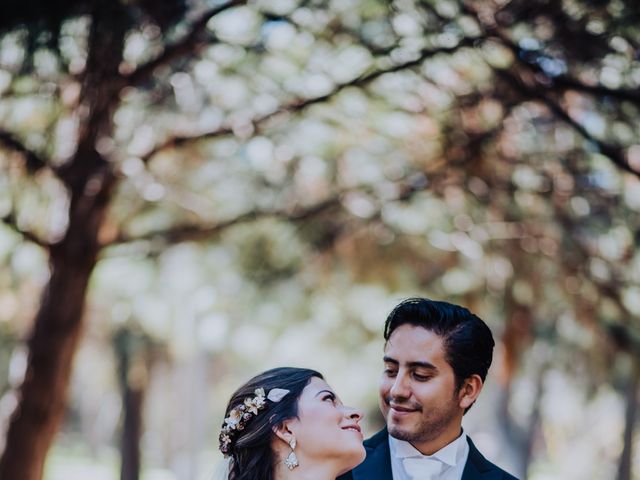 La boda de Jonathan y Alma en San Luis Potosí, San Luis Potosí 43