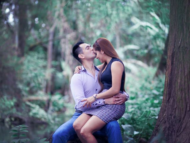 La boda de Zulma y Armando en Uruapan, Michoacán 3