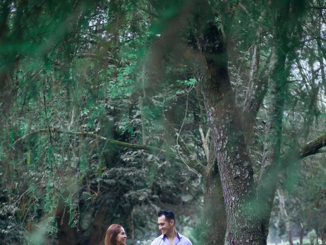 La boda de Zulma y Armando en Uruapan, Michoacán 5