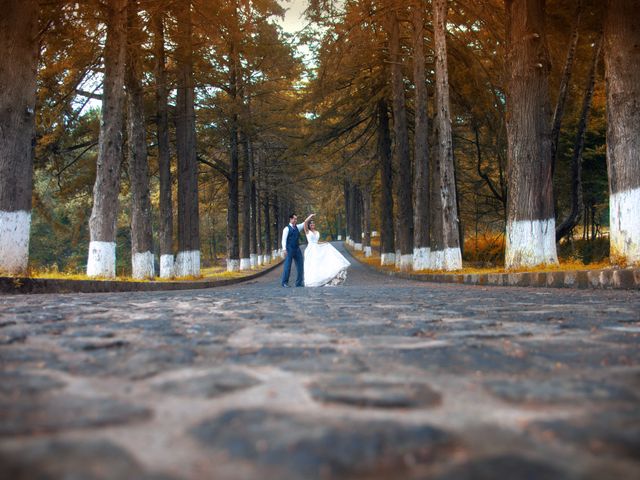 La boda de Zulma y Armando en Uruapan, Michoacán 47