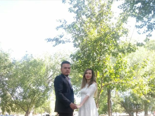 La boda de Arturo y Arely en Chihuahua, Chihuahua 5