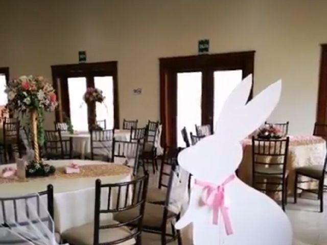 La boda de Arturo y Arely en Chihuahua, Chihuahua 14