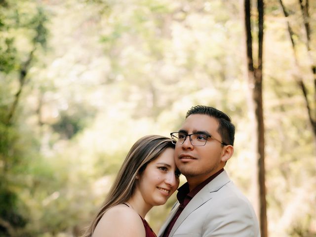 La boda de Alan y Fernanda en Tenancingo, Estado México 9