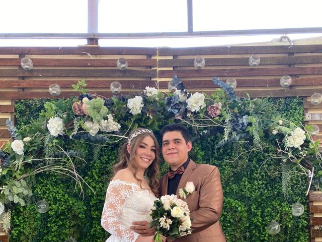 La boda de Eric y Diana en Tonalá, Jalisco 5