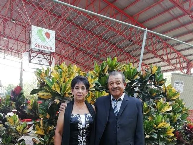 La boda de Sergio  y Angélica  en Torreón, Coahuila 13