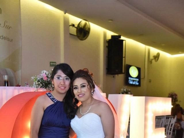 La boda de Daniel y Mayra  en Iztapalapa, Ciudad de México 14