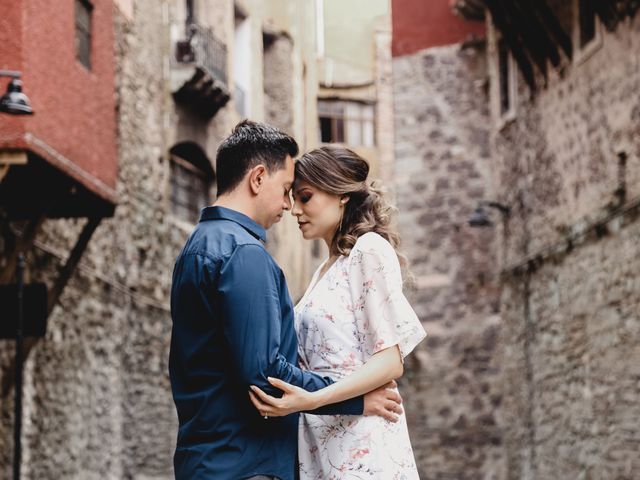 La boda de Daniel y Iliana en Celaya, Guanajuato 3