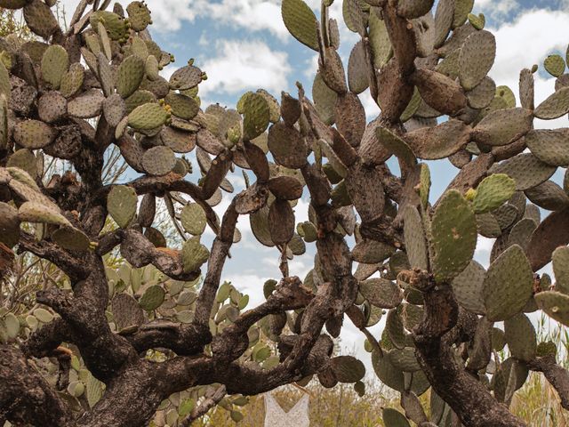 La boda de Jorge y Imalltzin en Soyaniquilpan de Juárez, Estado México 20