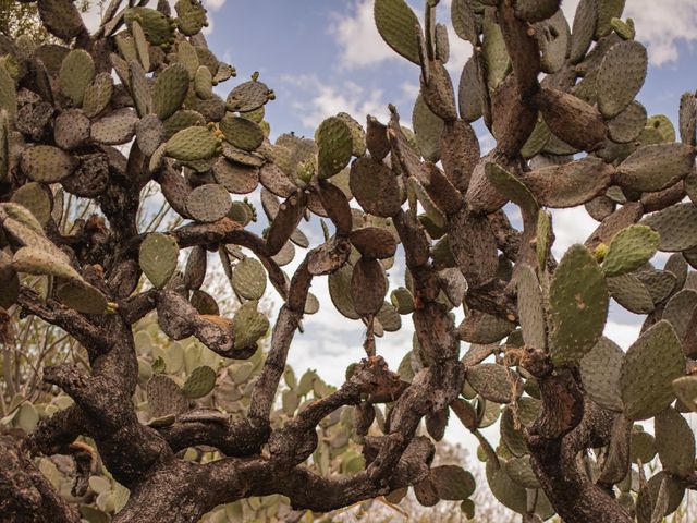 La boda de Jorge y Imalltzin en Soyaniquilpan de Juárez, Estado México 24