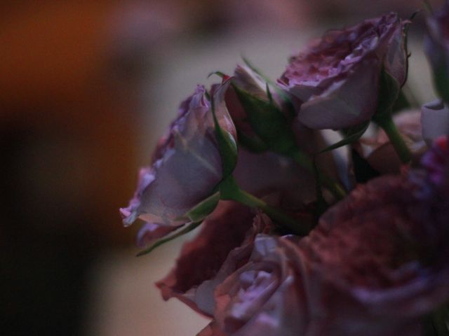 La boda de Fernando y Ana en Mérida, Yucatán 9