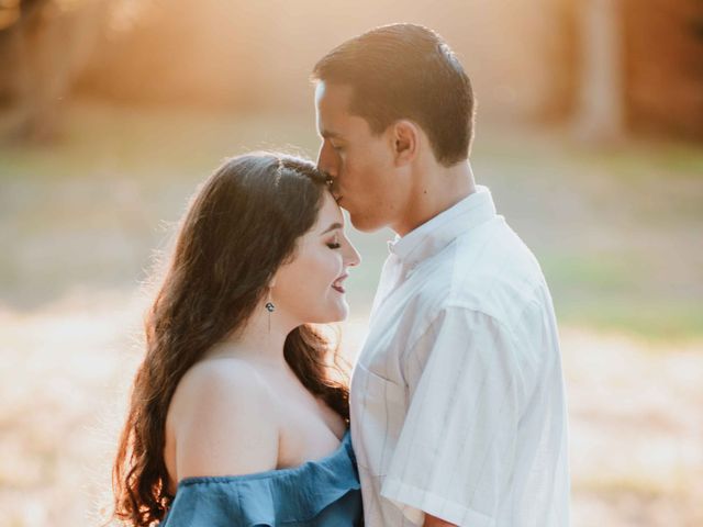 La boda de Luis y Aileen en Mazatlán, Sinaloa 22