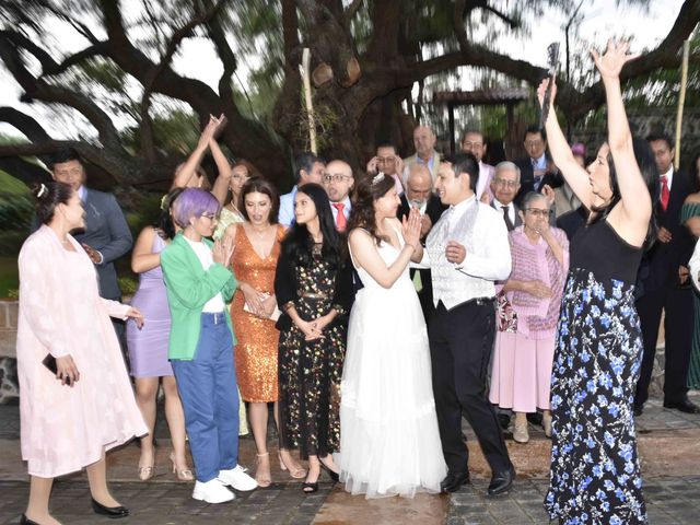 La boda de Mario   y Alejandra   en Xochimilco, Ciudad de México 8