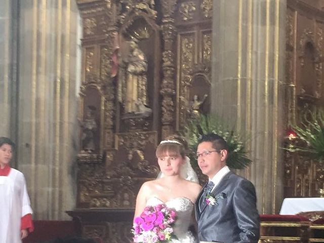 La boda de Yvonne y Alfredo en Xochimilco, Ciudad de México 7