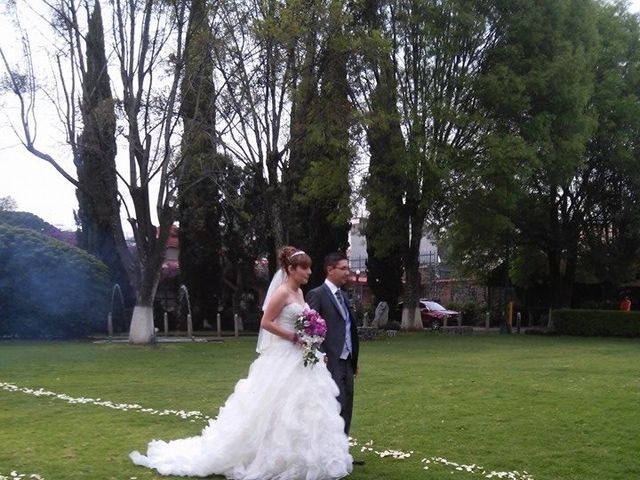 La boda de Yvonne y Alfredo en Xochimilco, Ciudad de México 16