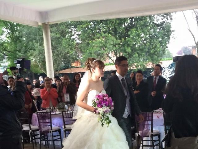 La boda de Yvonne y Alfredo en Xochimilco, Ciudad de México 18