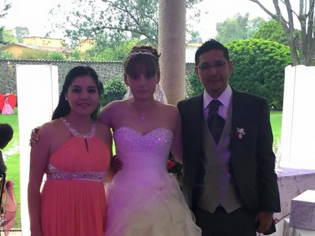 La boda de Yvonne y Alfredo en Xochimilco, Ciudad de México 20