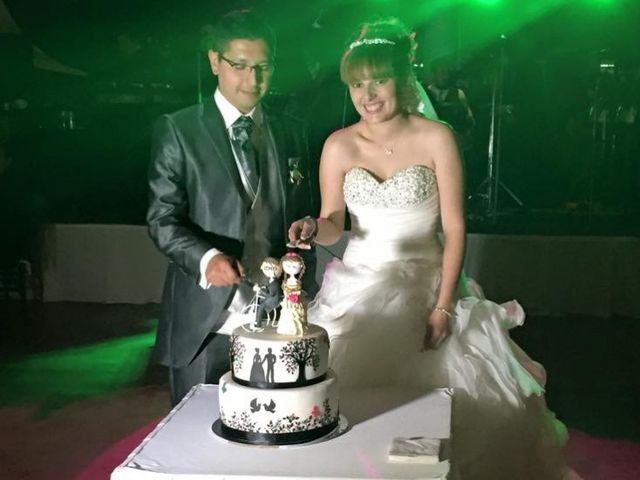 La boda de Yvonne y Alfredo en Xochimilco, Ciudad de México 65