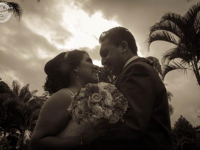 La boda de José Luís  y Alejandra  en Córdoba, Veracruz 10