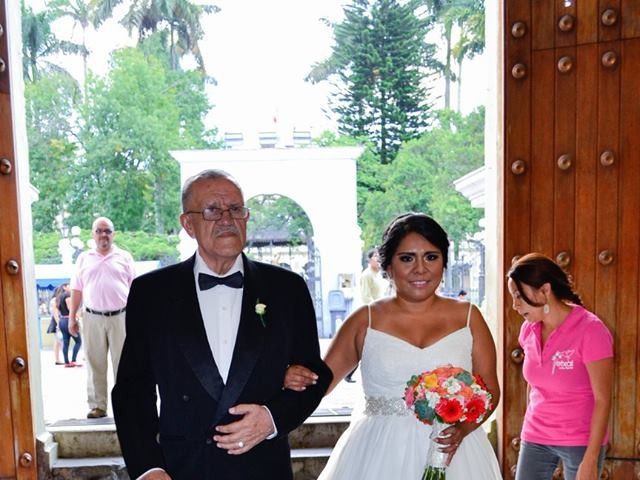 La boda de José Luís  y Alejandra  en Córdoba, Veracruz 20